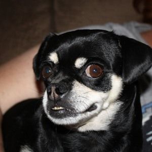 Meet your Posher, Bryan